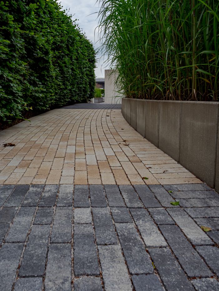 A beautifully paved walkway flanked by lush greenery and modern architecture in Coesfeld, Germany.