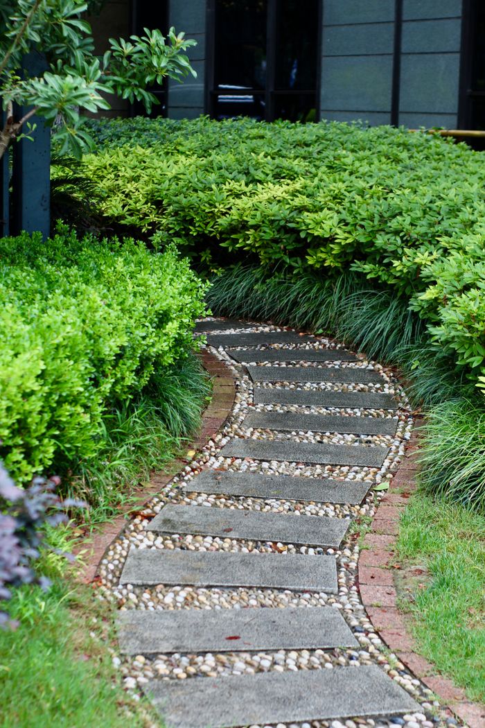 A tranquil garden pathway bordered by lush green hedges and shrubs.